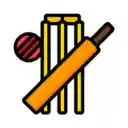 Cricket Updates  screen for extension Chrome web store in OffiDocs Chromium