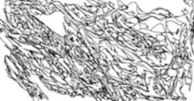 Free download criken free photo or picture to be edited with GIMP online image editor