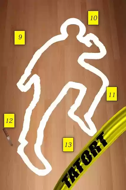 Free download Crime Scene Capital Crimes -  free illustration to be edited with GIMP free online image editor