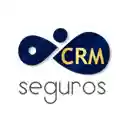 CRMSeguros  screen for extension Chrome web store in OffiDocs Chromium