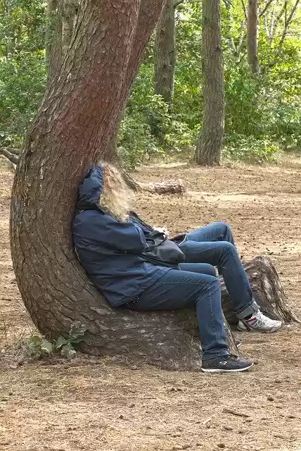 Free download Crooked Tree Deformed Bent -  free free photo or picture to be edited with GIMP online image editor