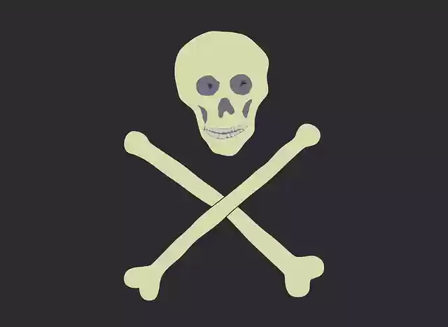 Free download Crossbones Pirate - Free vector graphic on Pixabay free illustration to be edited with GIMP free online image editor