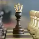 Crowned Chess Pawn Theme  screen for extension Chrome web store in OffiDocs Chromium