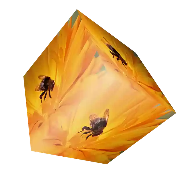 Free download Cube Flower Bee -  free illustration to be edited with GIMP free online image editor
