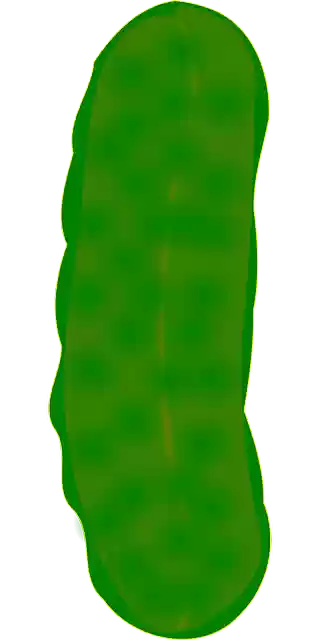 Free download Cucumber Dill Food - Free vector graphic on Pixabay free illustration to be edited with GIMP free online image editor