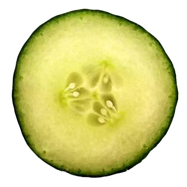 Free download cucumber slice hydrate skin eye free picture to be edited with GIMP free online image editor