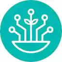 Cultivera LCB Manifest Autofill  screen for extension Chrome web store in OffiDocs Chromium