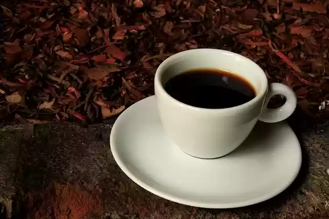 Free download Cup Coffee Drink free photo template to be edited with GIMP online image editor