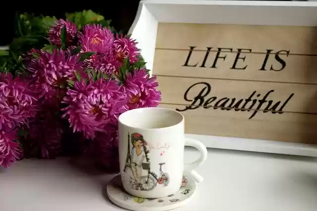 Free download Cup Coffee Flower -  free photo or picture to be edited with GIMP online image editor