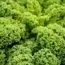 Curly Lettuce  screen for extension Chrome web store in OffiDocs Chromium