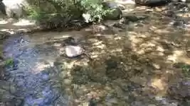 Free download Current Water -  free video to be edited with OpenShot online video editor