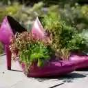 Cute shoes  screen for extension Chrome web store in OffiDocs Chromium