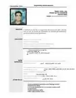 Free download Cv Hamdy Basuony free photo or picture to be edited with GIMP online image editor