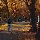 Cycling for a walk  screen for extension Chrome web store in OffiDocs Chromium