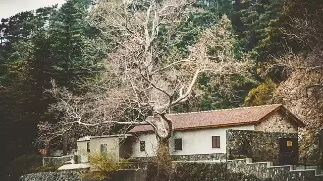 Free download Cyprus House Tree The Façade Of -  free photo or picture to be edited with GIMP online image editor