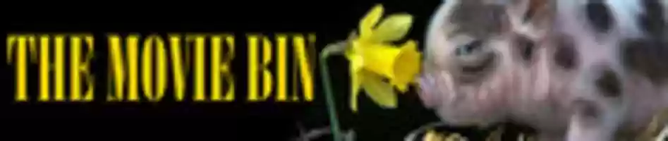 Free download Daffodil Piggy Header free photo or picture to be edited with GIMP online image editor