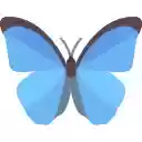 Daily Butterflies New Tab  screen for extension Chrome web store in OffiDocs Chromium