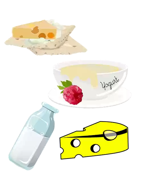 Free download Dairy Food Group Health -  free illustration to be edited with GIMP free online image editor