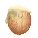 Dampnut Sniffer  screen for extension Chrome web store in OffiDocs Chromium