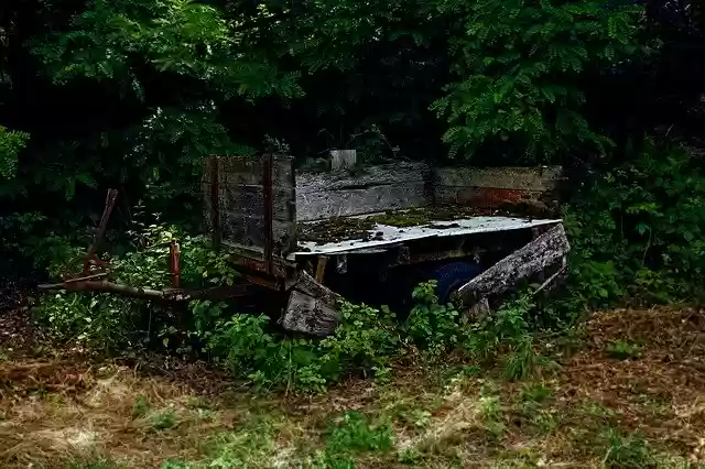 Free download Dare Nature Out -  free free photo or picture to be edited with GIMP online image editor