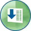 DataWorks Excel Downloader  screen for extension Chrome web store in OffiDocs Chromium