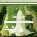 Datura  screen for extension Chrome web store in OffiDocs Chromium