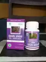 Free download Daun Ungu Hiu free photo or picture to be edited with GIMP online image editor