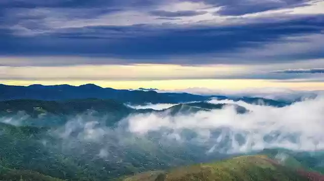 Free download Dawn Nature Forest -  free photo or picture to be edited with GIMP online image editor