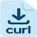 DCurl 下載轉 curl 指令  screen for extension Chrome web store in OffiDocs Chromium