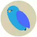 DeepShare (Share DeepSeek Chat | Formula Copy | Convert to Word)  screen for extension Chrome web store in OffiDocs Chromium