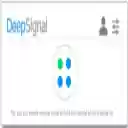Deepsignal Extension  screen for extension Chrome web store in OffiDocs Chromium
