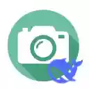 DeepSnap  screen for extension Chrome web store in OffiDocs Chromium