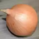 Delicious onions  screen for extension Chrome web store in OffiDocs Chromium