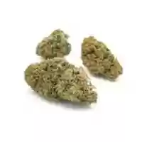 Free download Delta 8 CBDFlower free photo or picture to be edited with GIMP online image editor