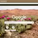 Desert Cactus Bloom  screen for extension Chrome web store in OffiDocs Chromium