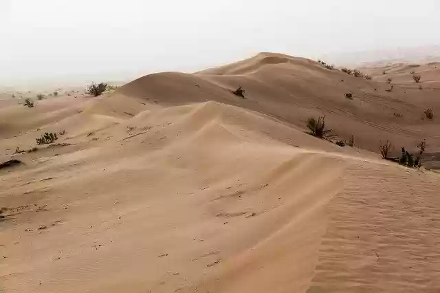 Free download desert sand thin dubai sand dunes free picture to be edited with GIMP free online image editor