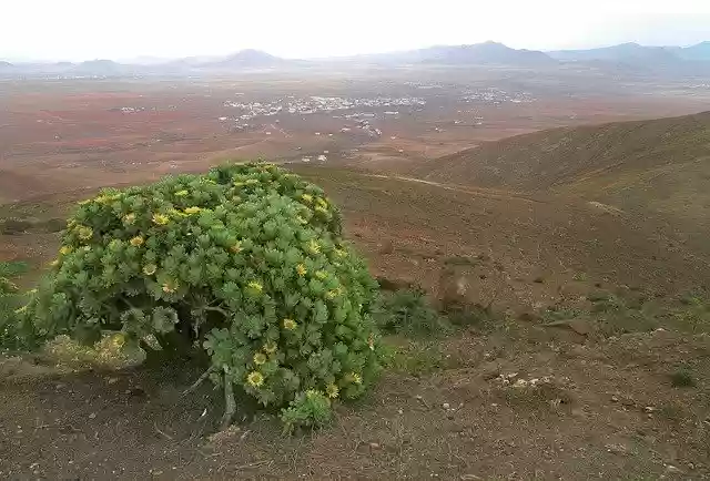 Free download Desert Step Landscape -  free free photo or picture to be edited with GIMP online image editor