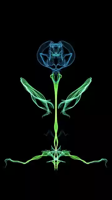 Free download Desktop Leaf Color -  free illustration to be edited with GIMP free online image editor