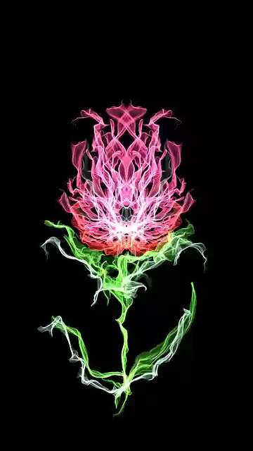 Free download Desktop Nature Color -  free illustration to be edited with GIMP free online image editor