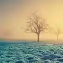 Desktop Wallpaper Display resolution Wallpape  screen for extension Chrome web store in OffiDocs Chromium