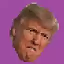 De Trumper  screen for extension Chrome web store in OffiDocs Chromium