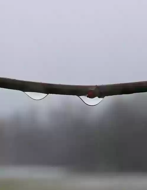 Free download Dew Dewdrop Autumn Refraction -  free photo or picture to be edited with GIMP online image editor