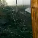 Dew soaked spider web  screen for extension Chrome web store in OffiDocs Chromium