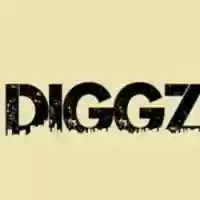 Free download diggz185.apk free photo or picture to be edited with GIMP online image editor