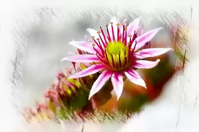 Free download Digital Art Artwork -  free illustration to be edited with GIMP free online image editor