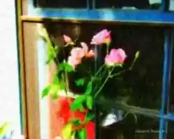 Free download Digital Oil Painting of Roses against a Window free photo or picture to be edited with GIMP online image editor