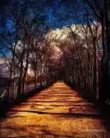 Free download Digital Pastel Drawing of a Footpath in Brazos Bend State Park  free photo or picture to be edited with GIMP online image editor