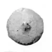 Free download Disk bead free photo or picture to be edited with GIMP online image editor