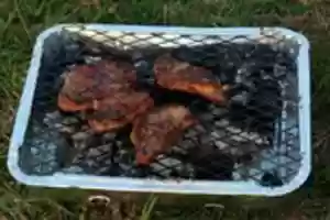 Free download Disposable BBQ free photo or picture to be edited with GIMP online image editor