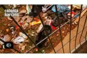 Free download dms free photo or picture to be edited with GIMP online image editor